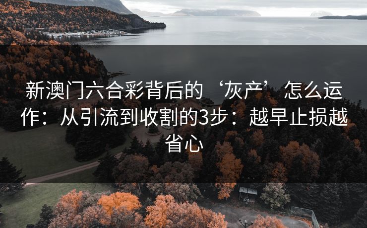 新澳门六合彩背后的‘灰产’怎么运作：从引流到收割的3步：越早止损越省心