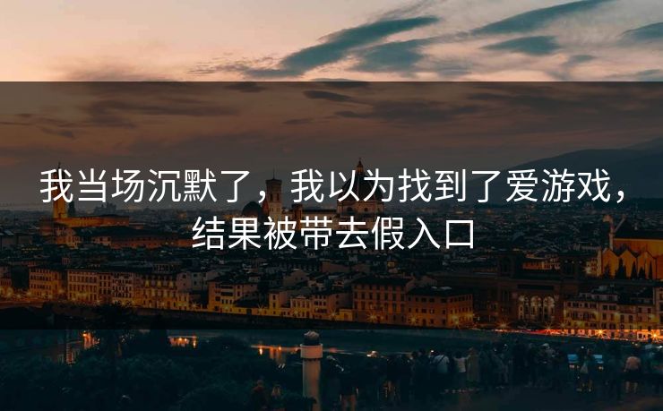 我当场沉默了，我以为找到了爱游戏，结果被带去假入口