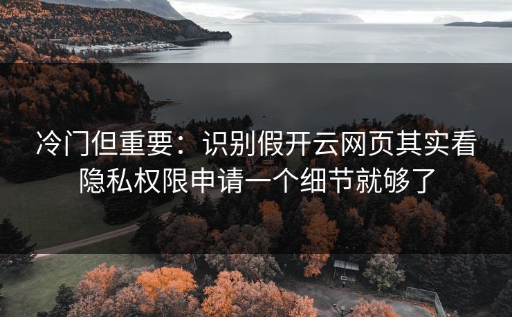冷门但重要：识别假开云网页其实看隐私权限申请一个细节就够了