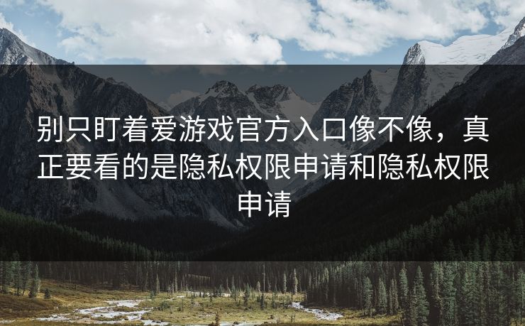 别只盯着爱游戏官方入口像不像，真正要看的是隐私权限申请和隐私权限申请